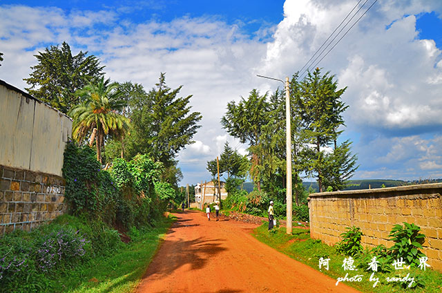 kericho1D7000 146.JPG kericho1D7000 146.JPG