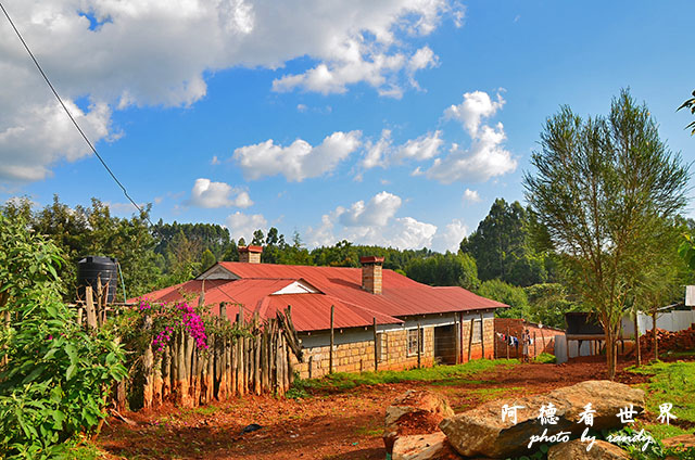 kericho1D7000 165.JPG kericho1D7000 165.JPG