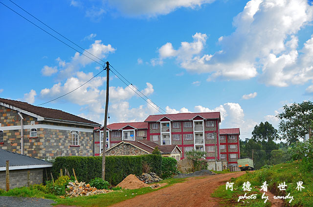 kericho1D7000 150.JPG kericho1D7000 150.JPG