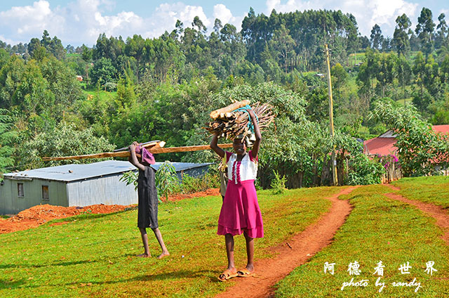 kericho1D7000 170.JPG kericho1D7000 170.JPG