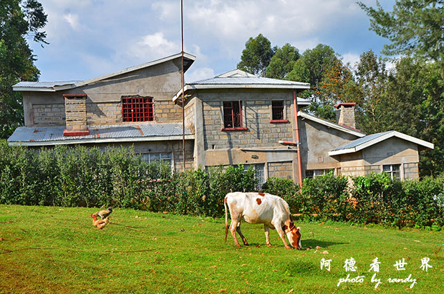 kericho1D7000 169.JPG kericho1D7000 169.JPG