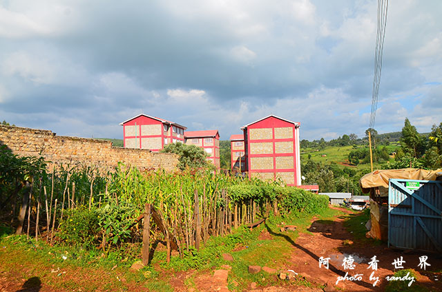 kericho1D7000 176.JPG kericho1D7000 176.JPG