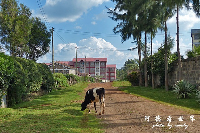 kericho1FZ200 (10).JPG kericho1FZ200 (10).JPG