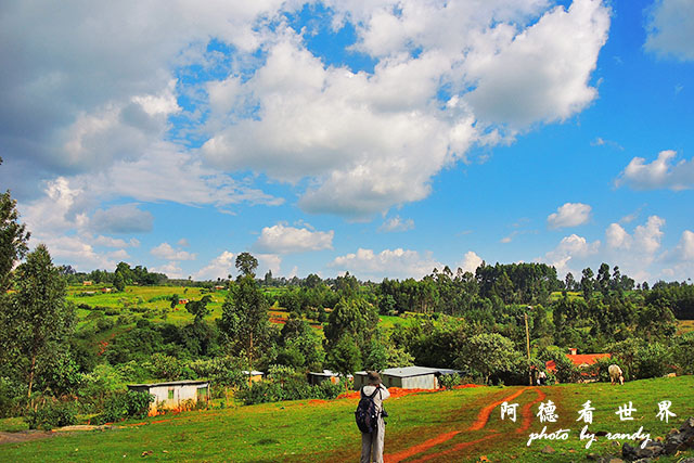 kericho1P7700 065.JPG kericho1P7700 065.JPG