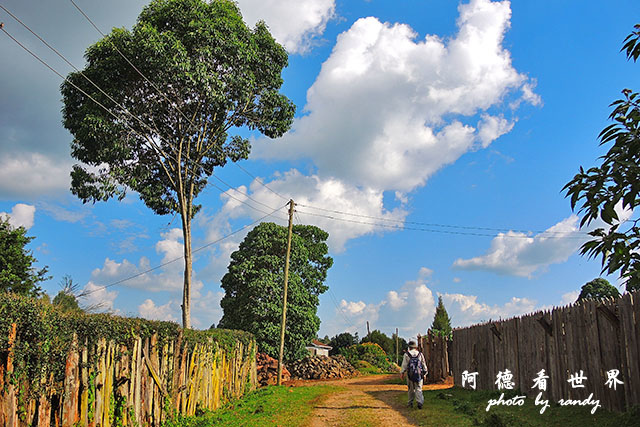 kericho1P7700 064.JPG kericho1P7700 064.JPG