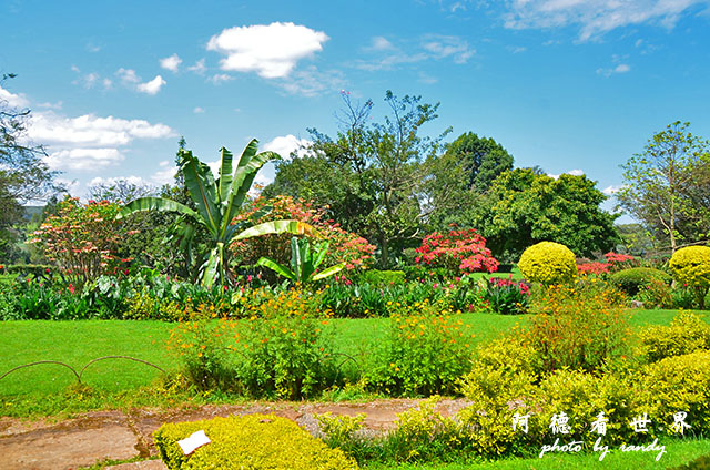 kericho2D7000 103.JPG kericho2D7000 103.JPG