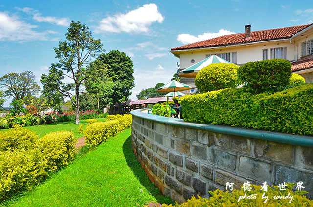 kericho2D7000 105.JPG kericho2D7000 105.JPG