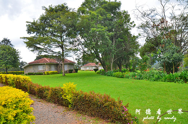 kericho2D7000 108.JPG kericho2D7000 108.JPG