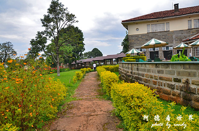 kericho2D7000 109.JPG kericho2D7000 109.JPG