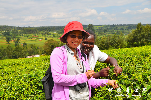 kericho2D7000 127.JPG kericho2D7000 127.JPG