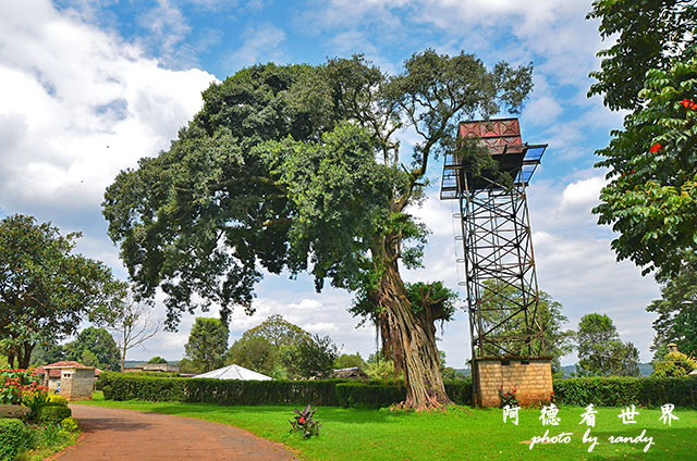 kericho2D7000 153.JPG kericho2D7000 153.JPG