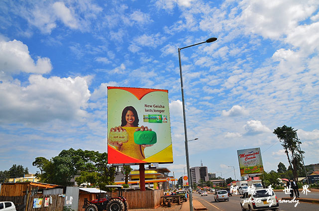 kericho2D7000 156.JPG kericho2D7000 156.JPG