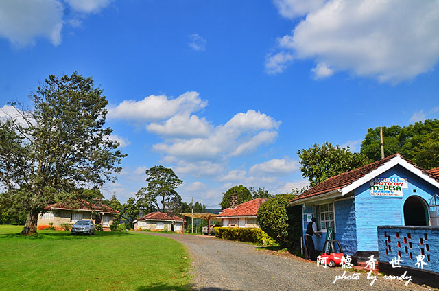 kericho3D7000 126.JPG kericho3D7000 126.JPG