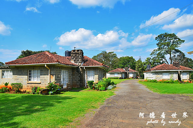 kericho3D7000 130.JPG kericho3D7000 130.JPG