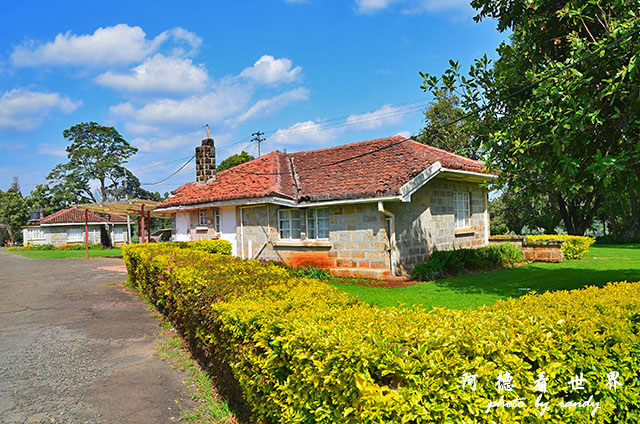 kericho3D7000 129.JPG kericho3D7000 129.JPG