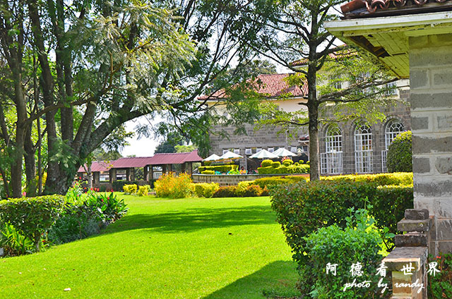 kericho3D7000 131.JPG kericho3D7000 131.JPG