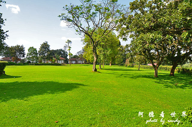 kericho3D7000 141.JPG kericho3D7000 141.JPG