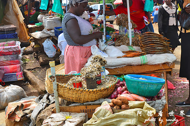 kericho3D7000 064.JPG kericho3D7000 064.JPG