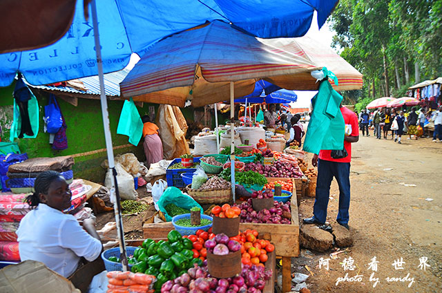 kericho3D7000 068.JPG kericho3D7000 068.JPG