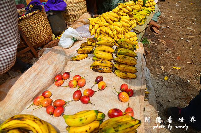 kericho3D7000 074.JPG kericho3D7000 074.JPG