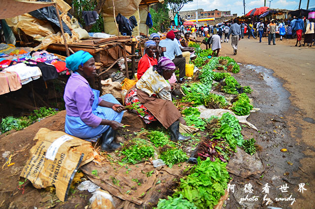 kericho3D7000 076.JPG kericho3D7000 076.JPG