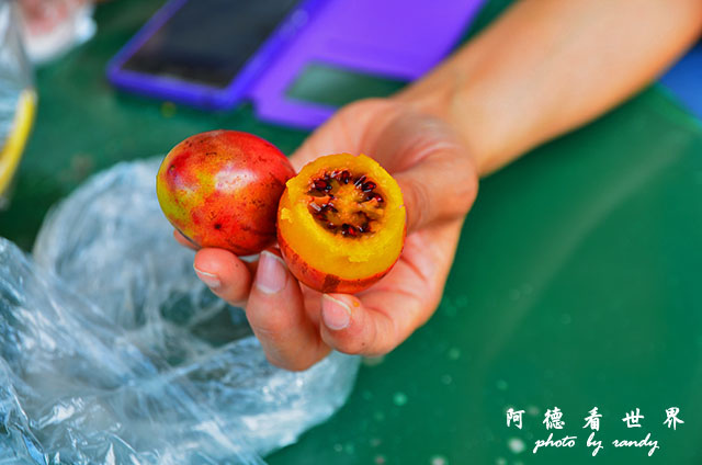 kericho3D7000 099.JPG kericho3D7000 099.JPG