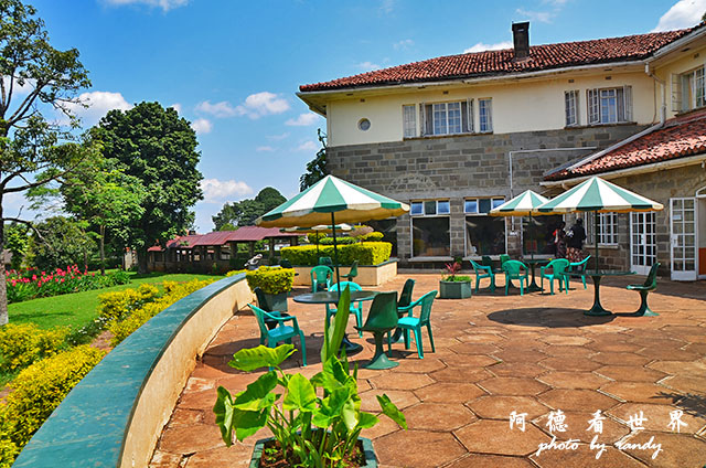kericho3D7000 105.JPG