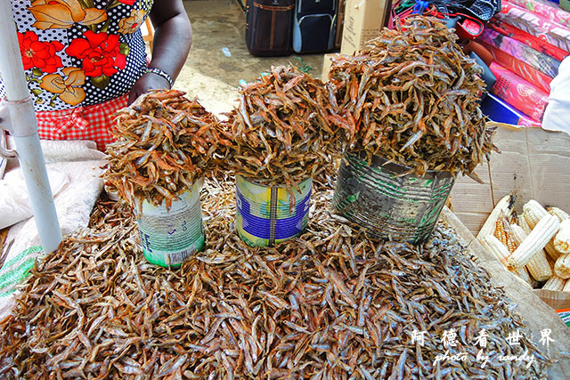 kericho3P7700 046.JPG kericho3P7700 046.JPG