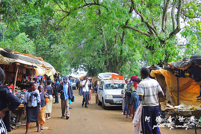 kericho3P7700 055.JPG kericho3P7700 055.JPG