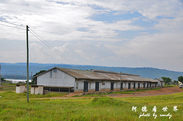 kisumu1D7000 065.JPG kisumu1D7000 065.JPG