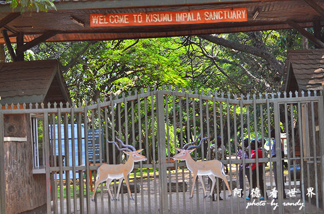 impalaD7000 002.JPG impalaD7000 002.JPG