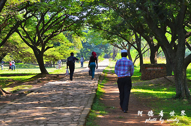 impalaD7000 026.JPG impalaD7000 026.JPG