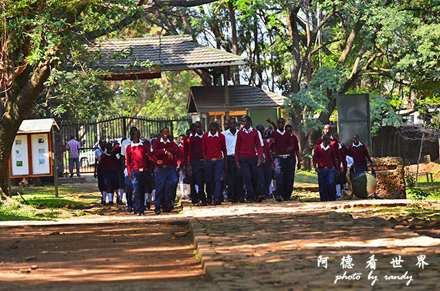 impalaD7000 027.JPG impalaD7000 027.JPG