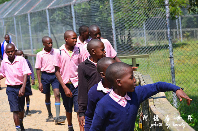 impalaD7000 130.JPG impalaD7000 130.JPG