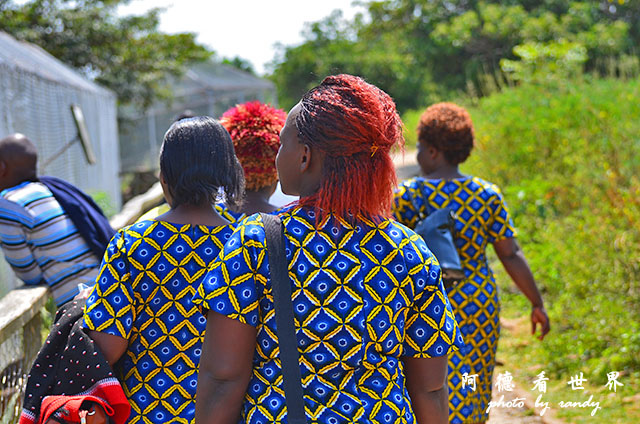 impalaD7000 138.JPG impalaD7000 138.JPG