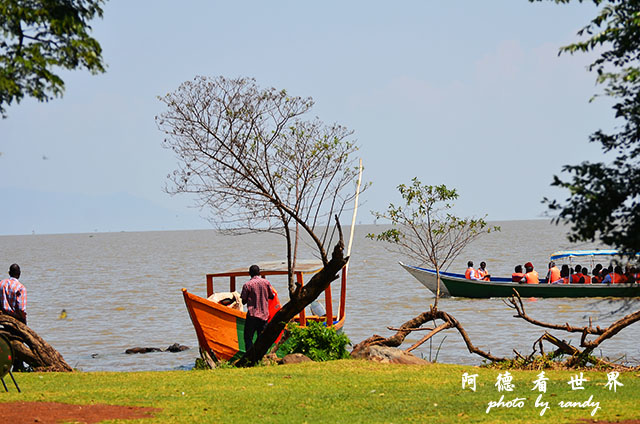 impalaD7000 230.JPG impalaD7000 230.JPG