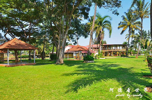 impalaD7000 268.JPG impalaD7000 268.JPG