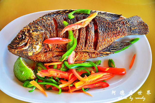 impalaD7000 287.JPG impalaD7000 287.JPG