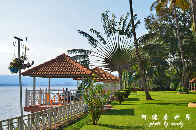 impalaD7000 307.JPG impalaD7000 307.JPG