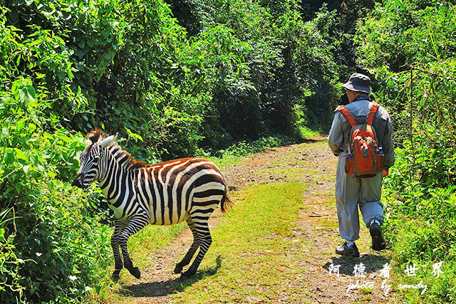 impalaP7700 109.JPG impalaP7700 109.JPG