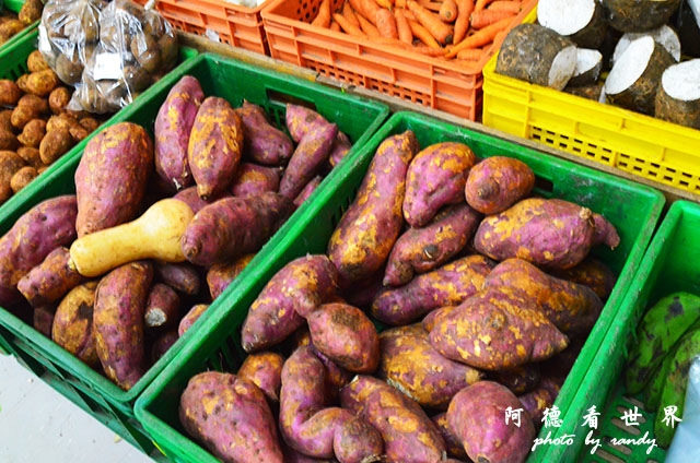 mombasa1D7000 033.JPG mombasa1D7000 033.JPG