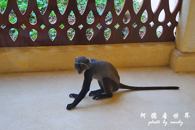 diani1P7700 075.JPG diani1P7700 075.JPG