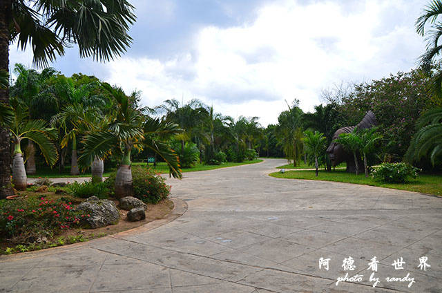 diani2D7000 048.JPG diani2D7000 048.JPG