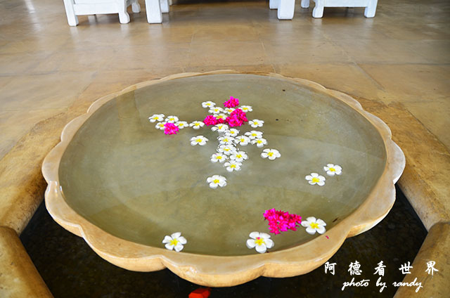 diani2D7000 064.JPG diani2D7000 064.JPG