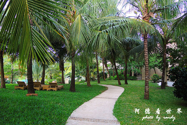 diani1P7700 074.JPG diani1P7700 074.JPG