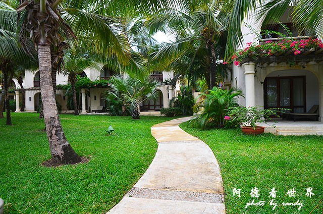 diani2D7000 090.JPG diani2D7000 090.JPG