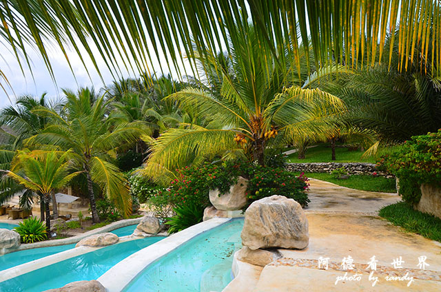 diani2D7000 093.JPG diani2D7000 093.JPG