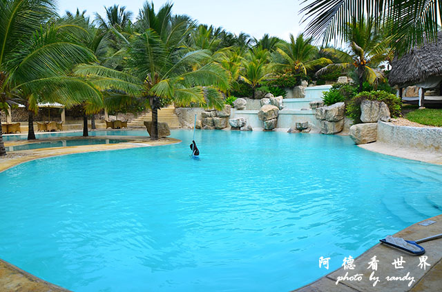 diani2D7000 096.JPG diani2D7000 096.JPG