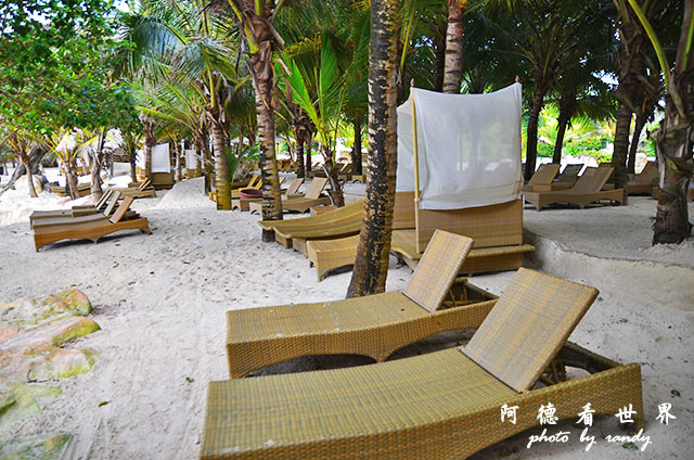 diani2D7000 100.JPG diani2D7000 100.JPG