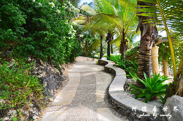 diani2D7000 179.JPG diani2D7000 179.JPG